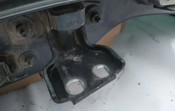 Rear door lower hinge