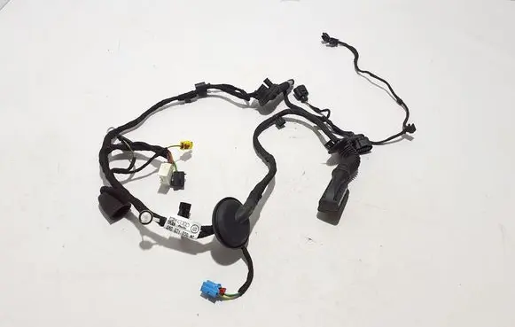 Audi Q7 4M Other wiring loom 4M0971029MG