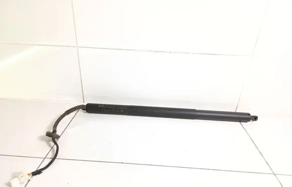 Tailgate strut