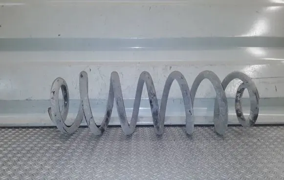 Skoda Octavia Mk2 (1Z) Rear coil spring 