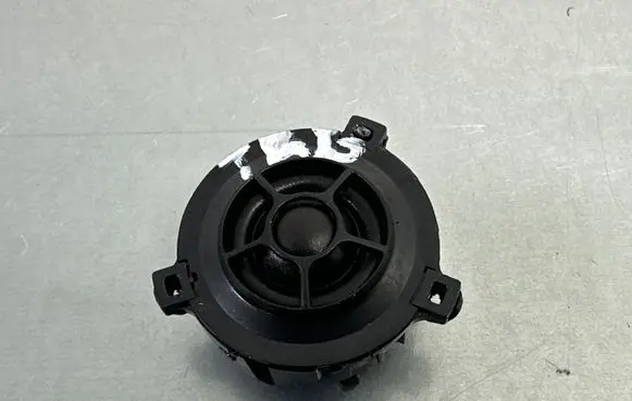 Volkswagen Touareg III Front door speaker 3CN035411
