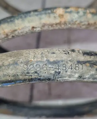Rear coil spring