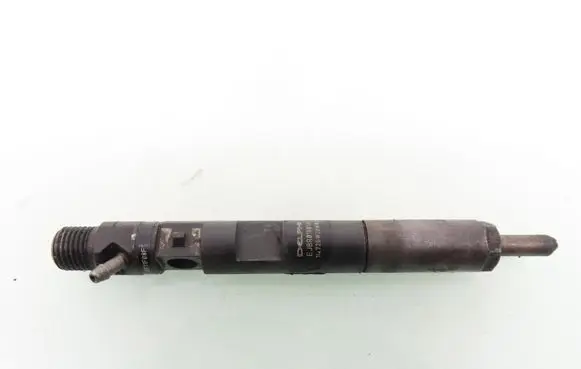 Renault Megane II Fuel injector 8200365186 EJBR01801A 8200049873