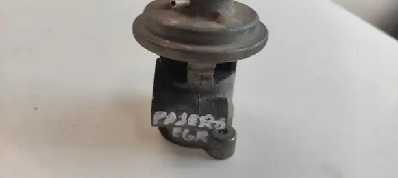 Mitsubishi Pajero EGR valve