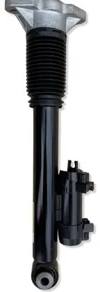 Mercedes-Benz GLE W167 Rear shock absorber/damper A1673202301