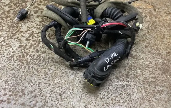Renault Laguna III Front door wiring loom 8200393860A