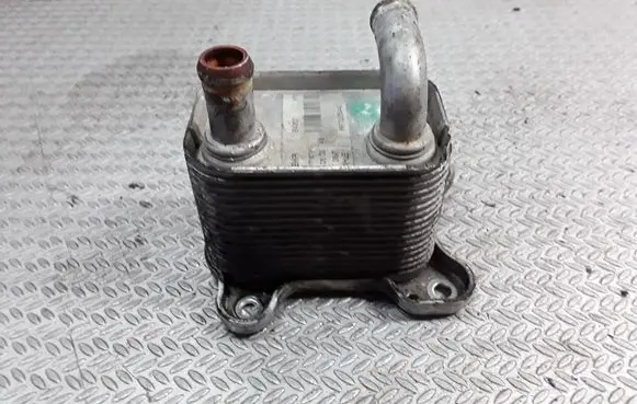 Opel Meriva A Oil filter mounting bracket 8973235440