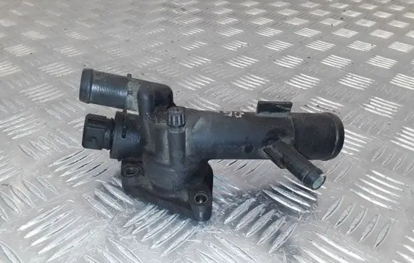 Thermostat/thermostat housing
