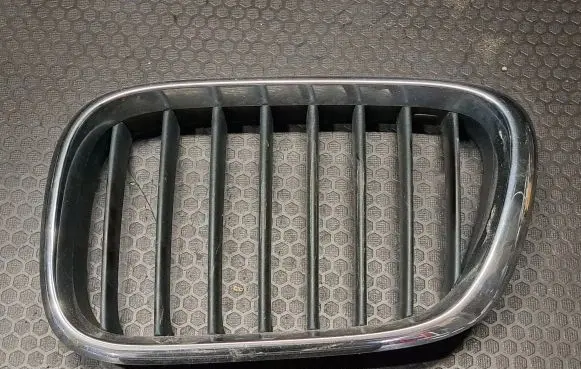 BMW X5 E53 Front grill 8247675 51138247675