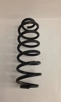 Rear coil spring