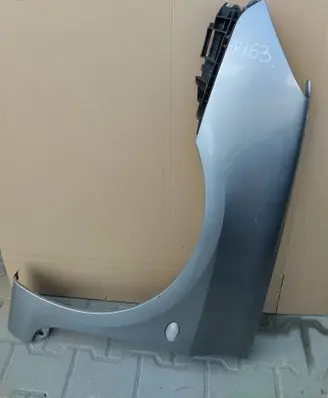 Peugeot 307 Fender BLONIK307LH