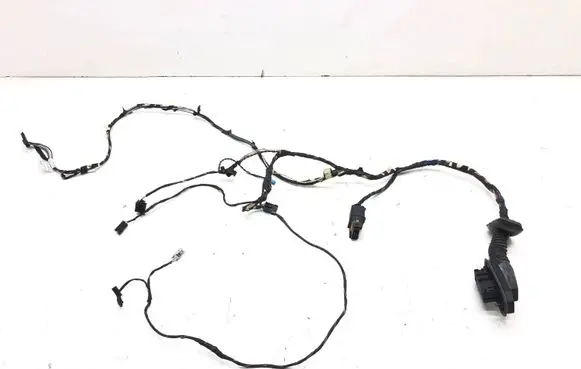 BMW X3 F25 Front door wiring loom 9243646