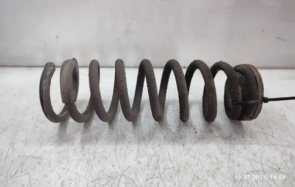 Rear coil spring