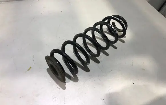 Volkswagen PASSAT B6 Rear coil spring