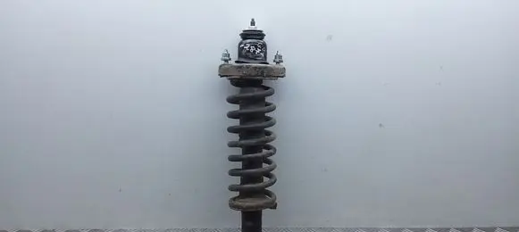 Mitsubishi Outlander Rear shock absorber with coil spring 4162A459