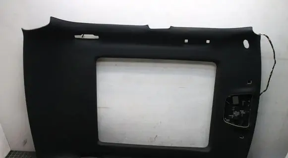 Chrysler 300C Headlining 1XG55DX9AB