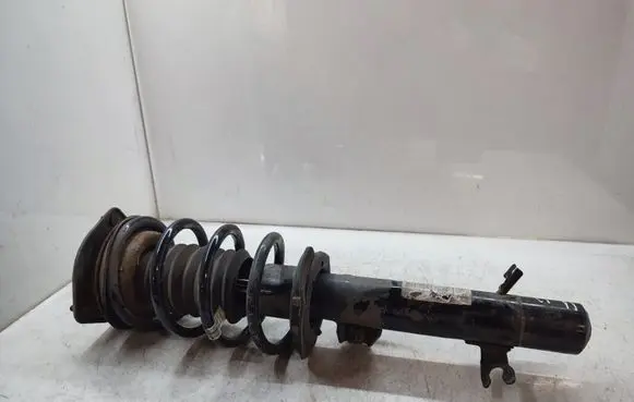 Mini Cooper Countryman R60 Front shock absorber with coil spring 9813654