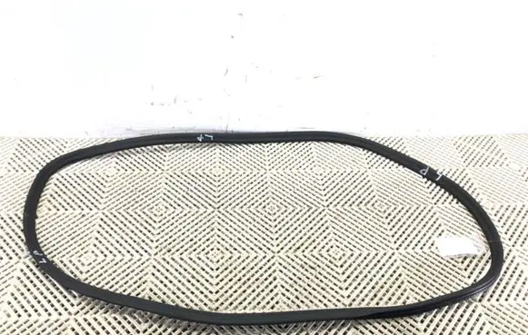 BMW 5 G30 G31 G38 Rubber seal front door (on door) 7366407