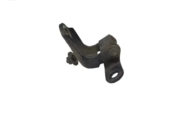 Ford Fiesta Rear door lower hinge