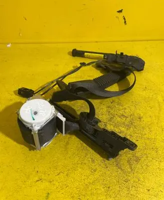 Jaguar XF X250 Seat belt trim RZ1R2P5K4