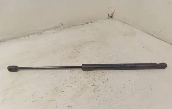 Opel Insignia A Tailgate/trunk strut/damper 22798954 315005777 1883420660N