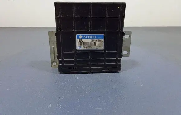 KIA Opirus Engine control unit/module ECU 3910639741