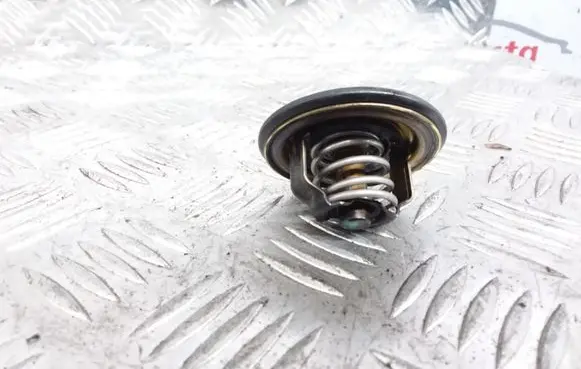 Audi A3 S3 8P Thermostat/thermostat housing 03G121113