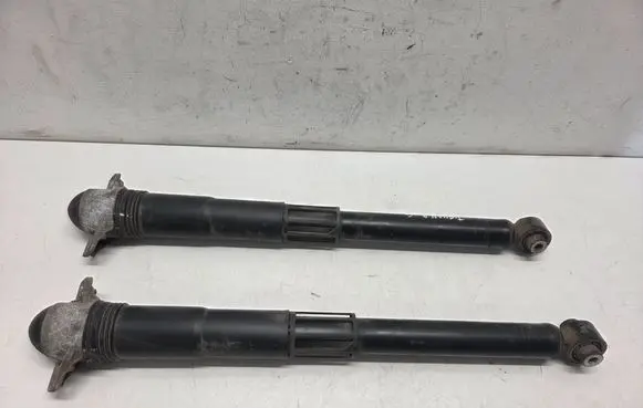 Volkswagen Tiguan Rear shock absorber/damper 5QF513049 K0252 E3C1060