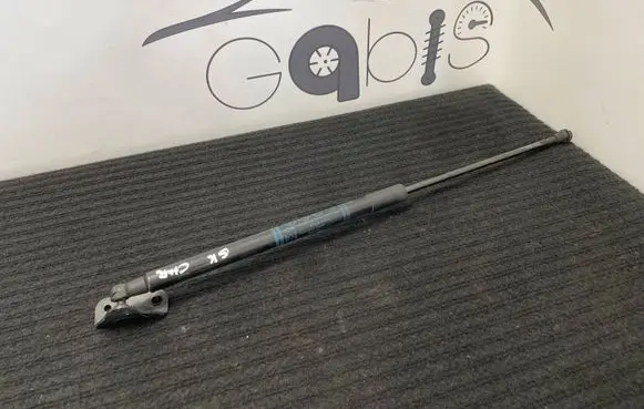 Toyota C-HR I Tailgate/trunk strut/damper 68950F4060