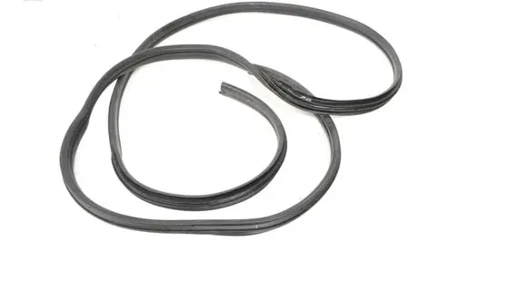 Renault Master III Rubber seal front door (on door) 