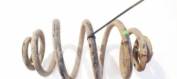 Rear coil spring