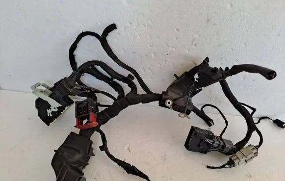 Ford Focus Other wiring loom