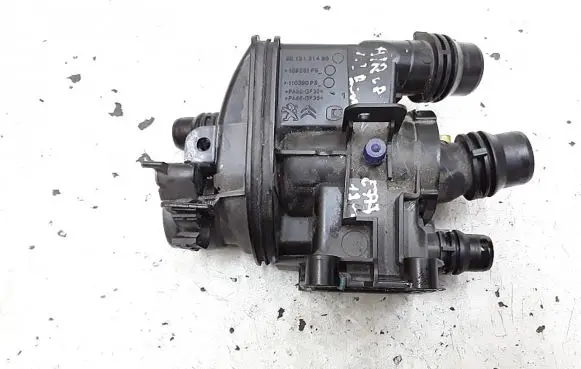 Citroen C5 Aircross Thermostat 9812131480