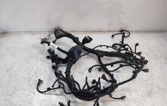 Nissan Qashqai+2 Engine installation wiring loom 24011BB50A