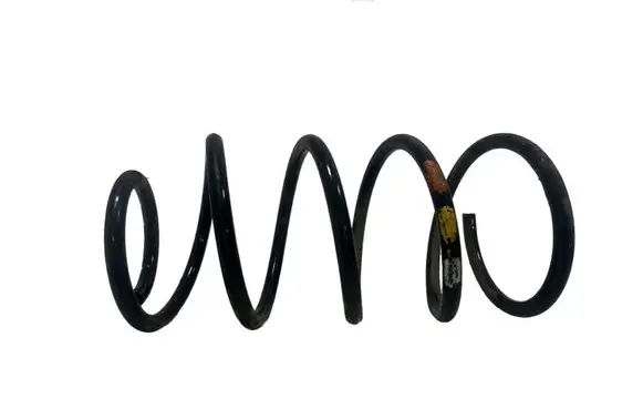 Front coil spring