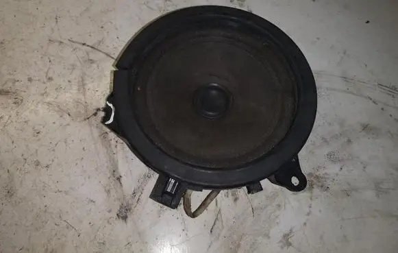 Front door high frequency speaker