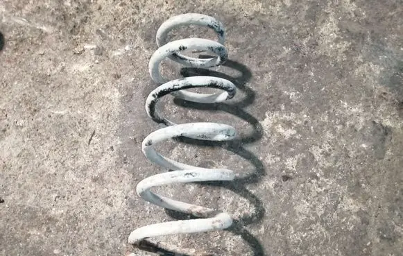 Nissan Primera Rear coil spring