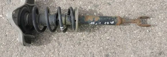 Front shock absorber with coil spring