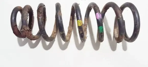 Hyundai Sonata Rear coil spring