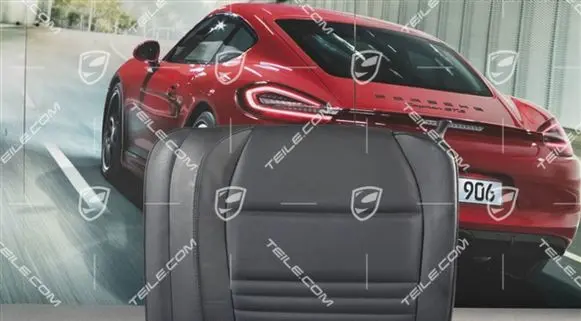 Porsche 911 996 Seat trim 99652201106G10