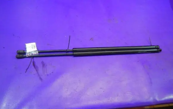 Tailgate strut
