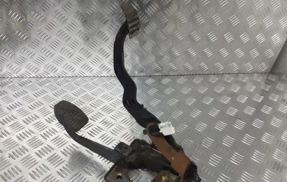 Citroen Xsara Picasso Pedal assembly 