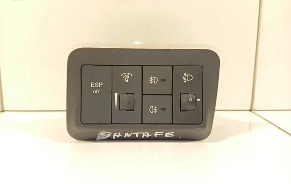 Hyundai Santa Fe Light switch 201003966