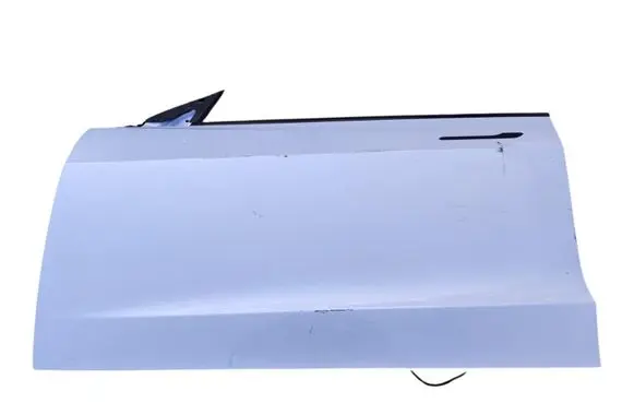 Tesla Model 3 Front door 