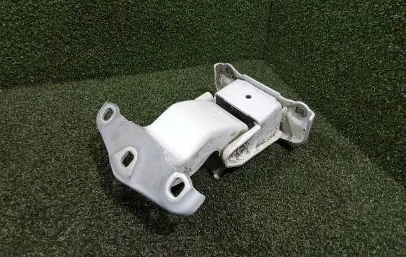 Renault Trafic II (X83) Rear door lower hinge 527428C 57864C