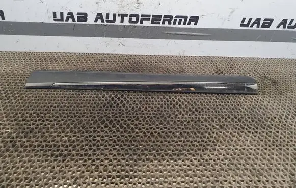 Nissan Murano Z51 Rear door trim (molding) 828711AA3A