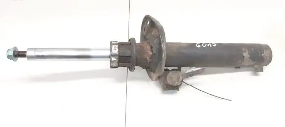 Volkswagen PASSAT B6 Front shock absorber/damper 3c0413031ac