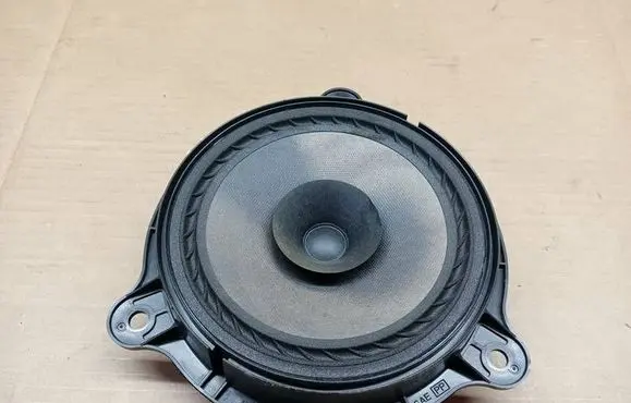 Nissan Juke I F15 Front door speaker SAEK