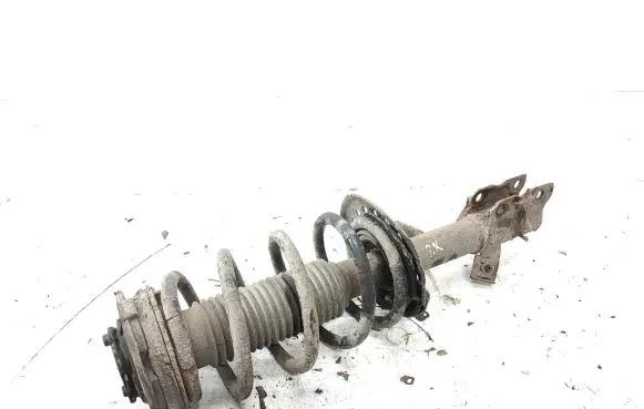 Nissan Qashqai+2 Front shock absorber with coil spring