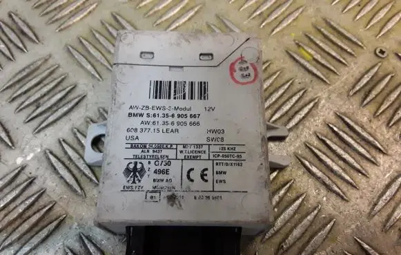 BMW X5 E53 CAS control unit/module 6905667